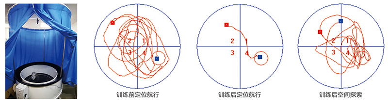 未標(biāo)題-1.jpg